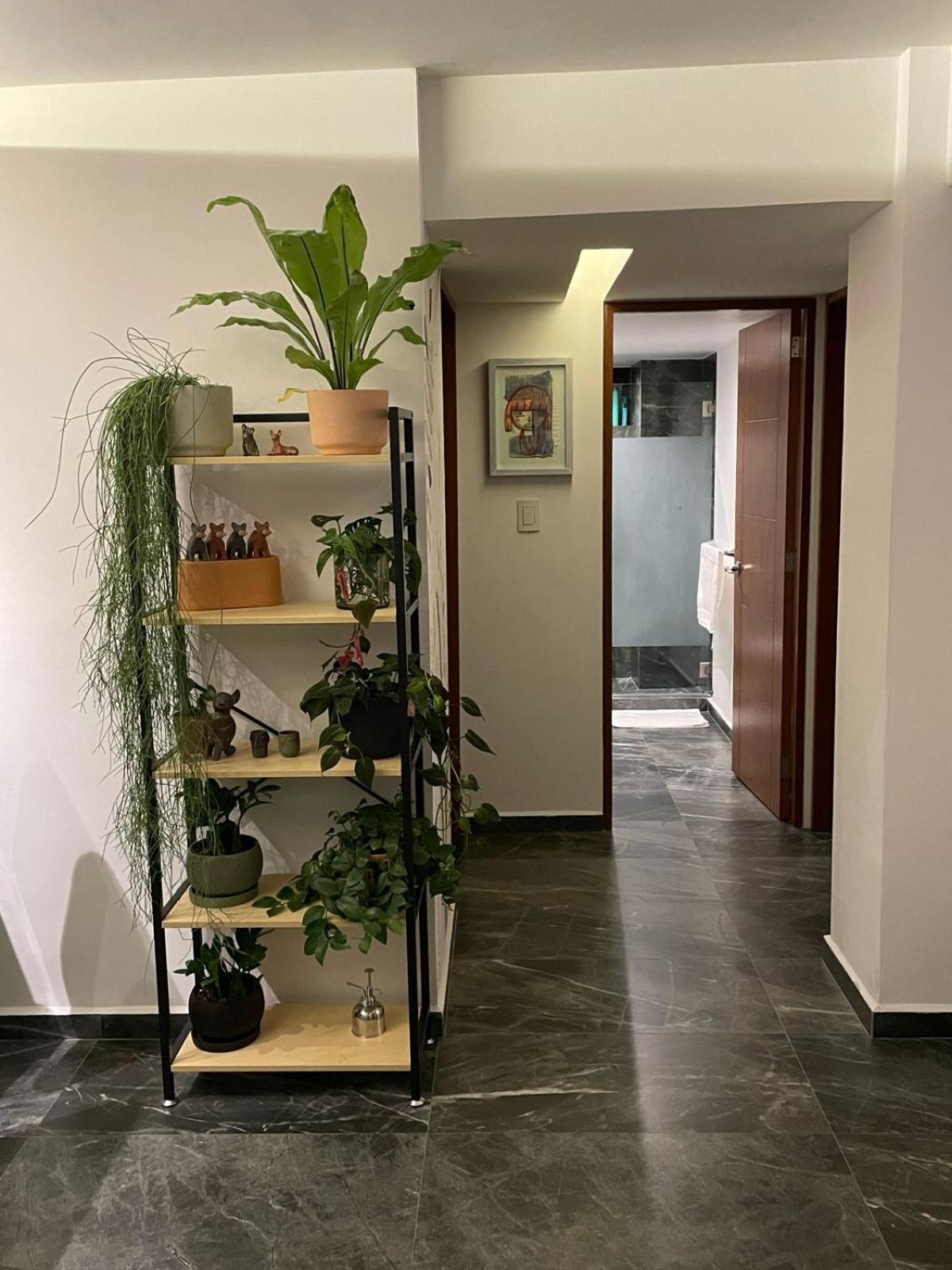 Great Apartment In The Heart Of Coyoacan Mexico City Exterior photo